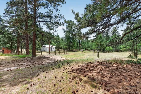 11934 E Buckhorn Way Franktown CO 80116
