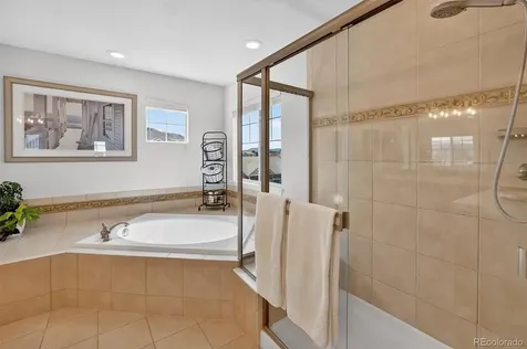 4945 Persimmon Lane Castle Rock CO 80109