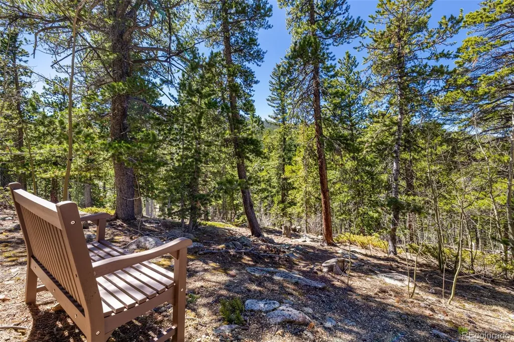 260 Pine Drive Idaho Springs CO 80452