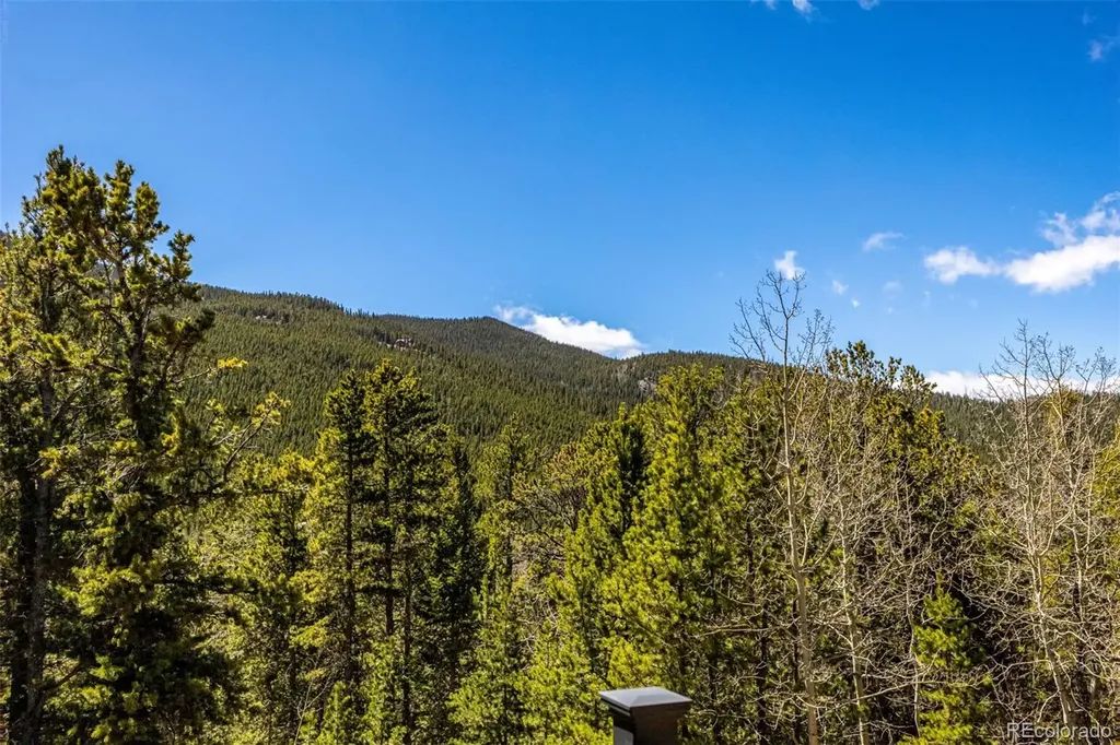260 Pine Drive Idaho Springs CO 80452
