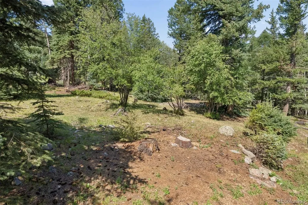 2667 Witter Gulch Road Evergreen CO 80439