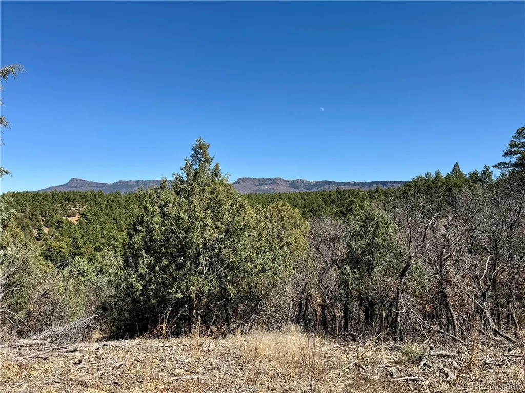 34999 Timber Park Drive Trinidad CO 81082