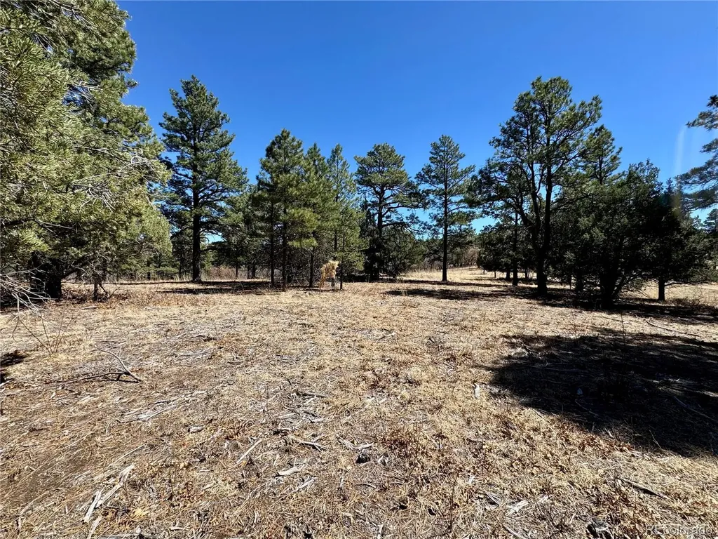 34999 Timber Park Drive Trinidad CO 81082