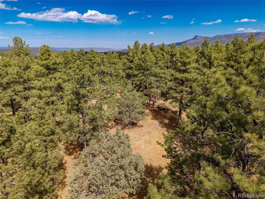 34999 Timber Park Drive Trinidad CO 81082