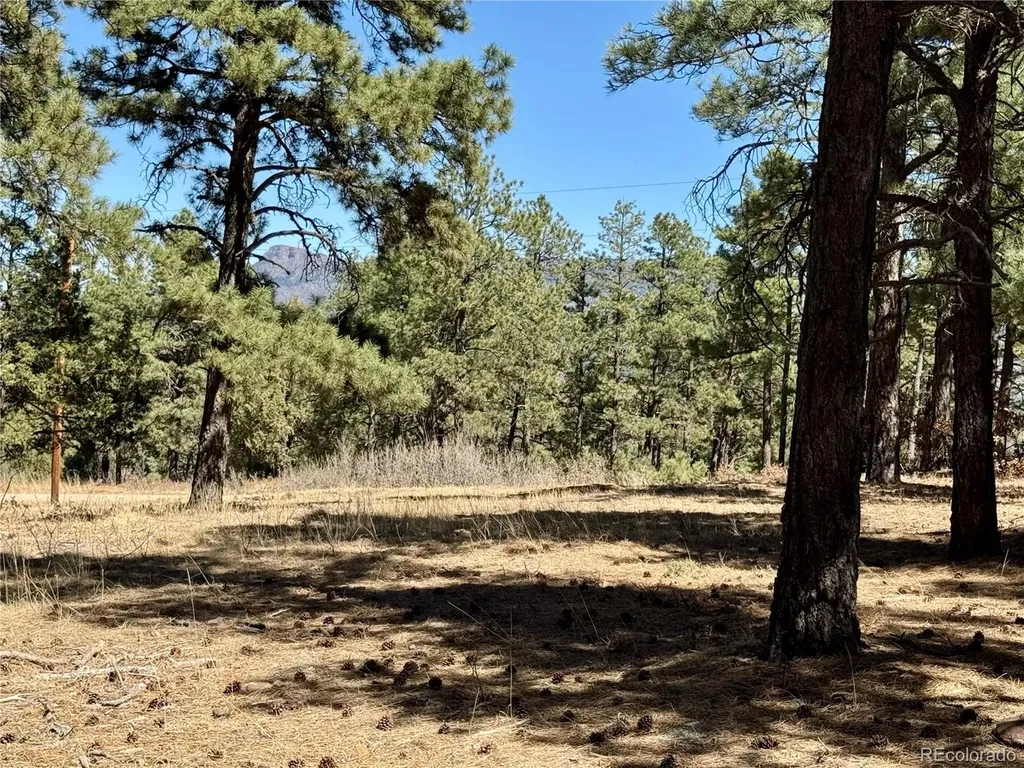 34999 Timber Park Drive Trinidad CO 81082