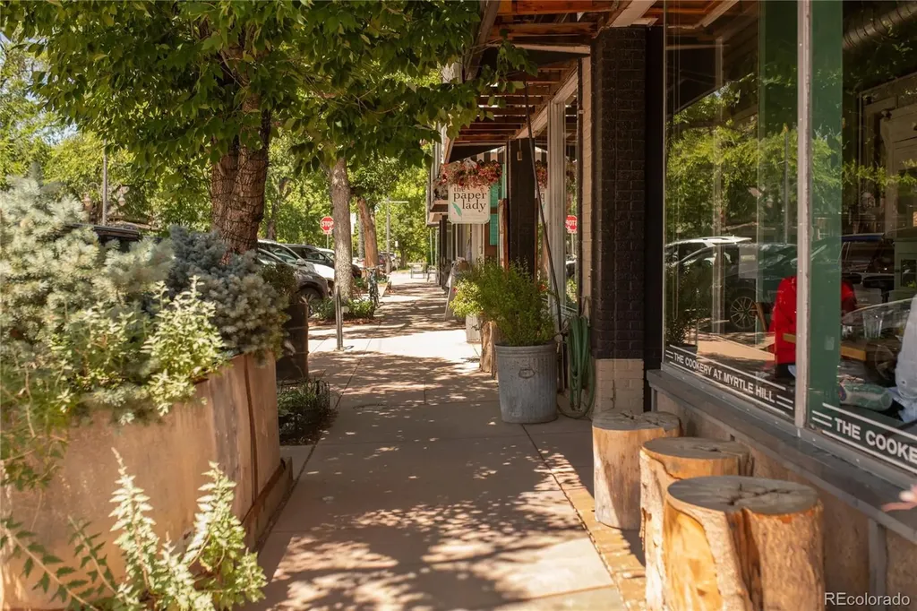 547 S Williams Street Denver CO 80209