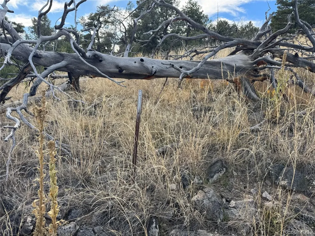 2926 E Path Cotopaxi CO 81223