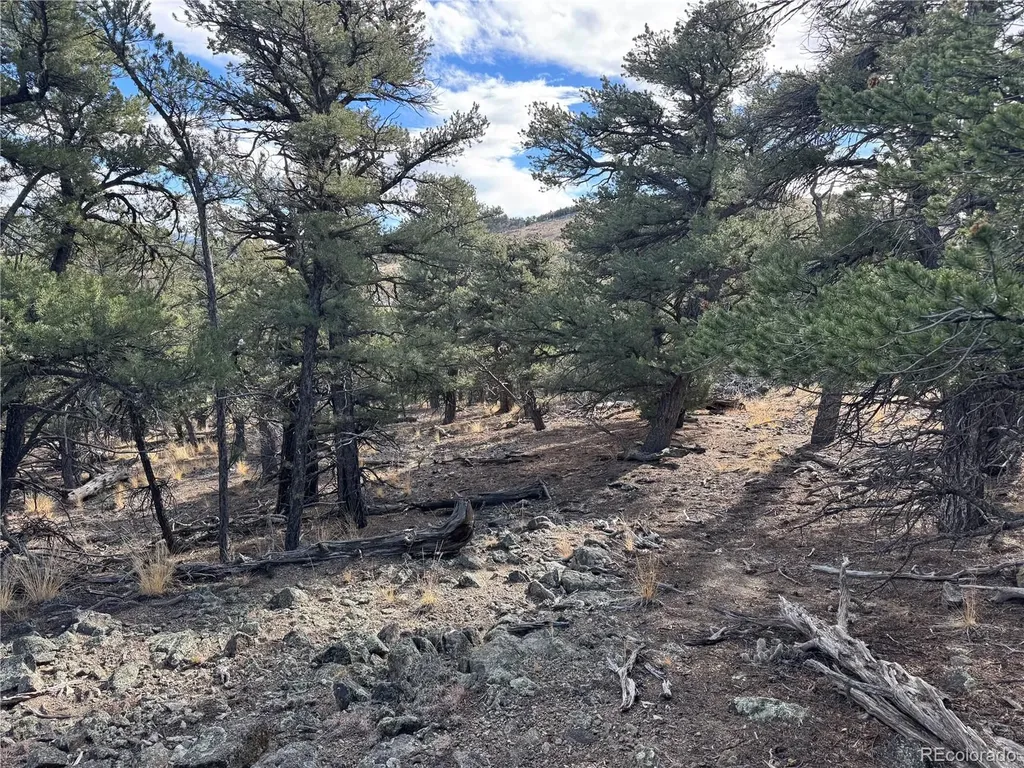 2926 E Path Cotopaxi CO 81223