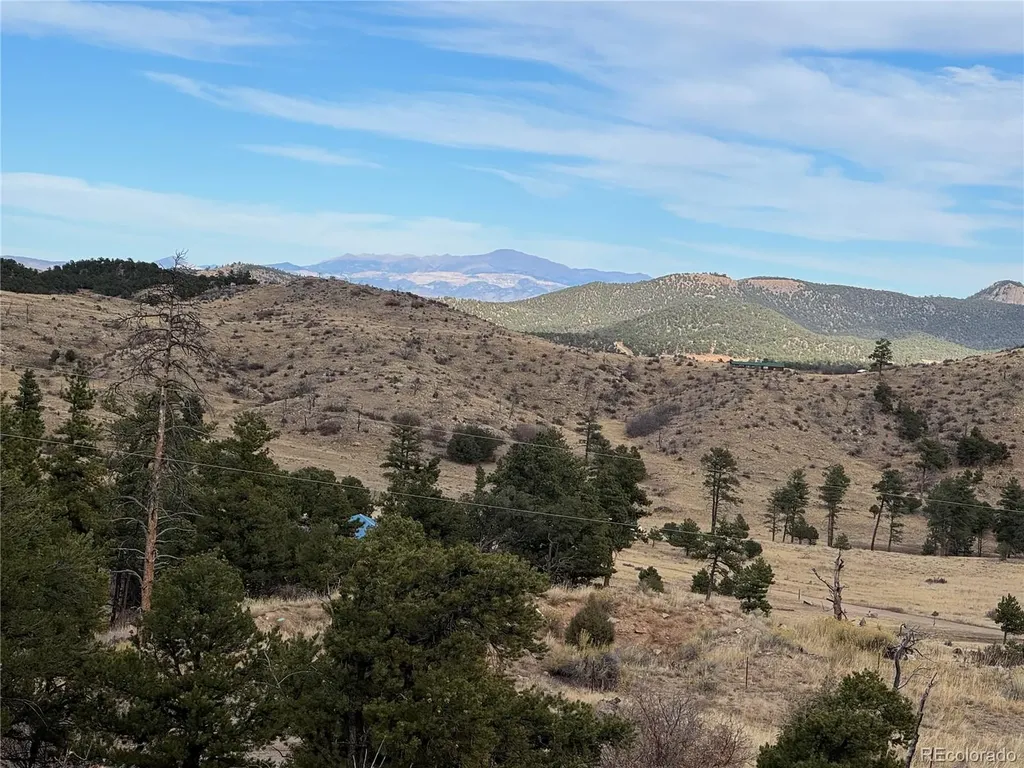 2926 E Path Cotopaxi CO 81223