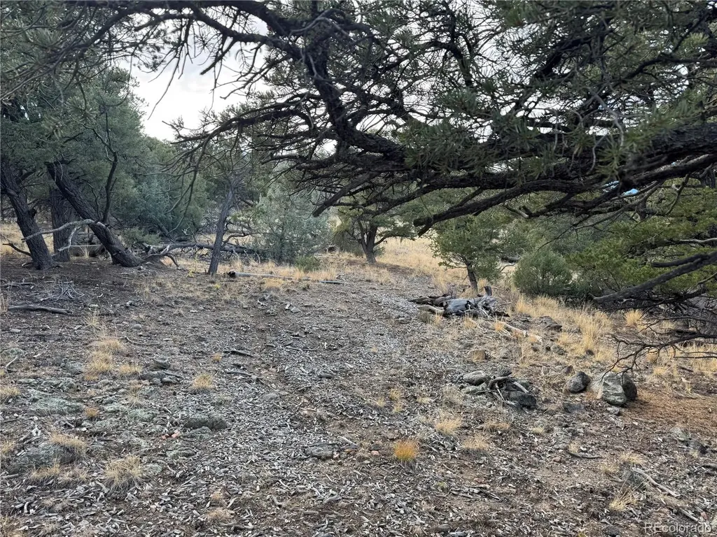 2926 E Path Cotopaxi CO 81223