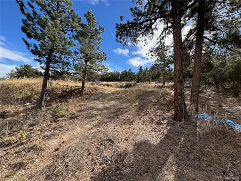 2926 E Path Cotopaxi CO 81223
