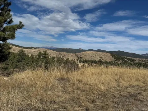 2926 E Path Cotopaxi CO 81223