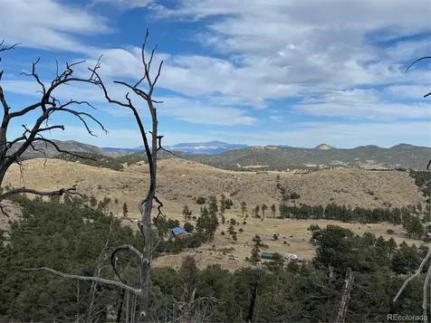 2926 E Path Cotopaxi CO 81223