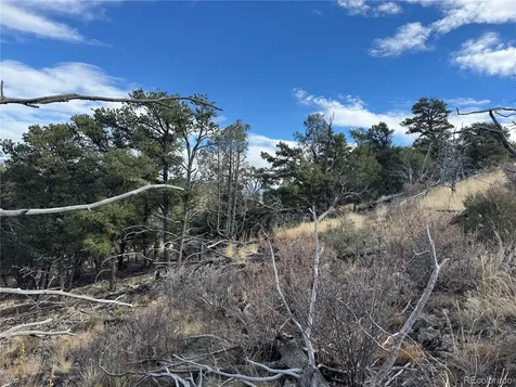 2926 E Path Cotopaxi CO 81223