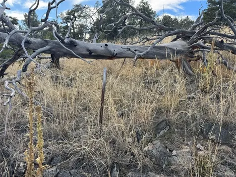 2926 E Path Cotopaxi CO 81223