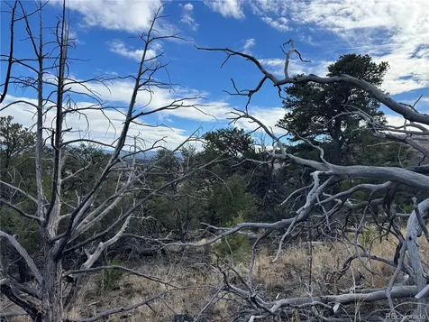 2926 E Path Cotopaxi CO 81223