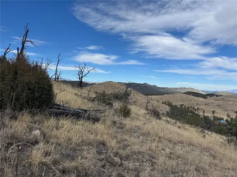 2926 E Path Cotopaxi CO 81223