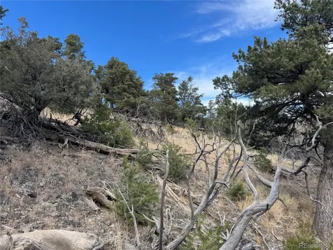 2926 E Path Cotopaxi CO 81223
