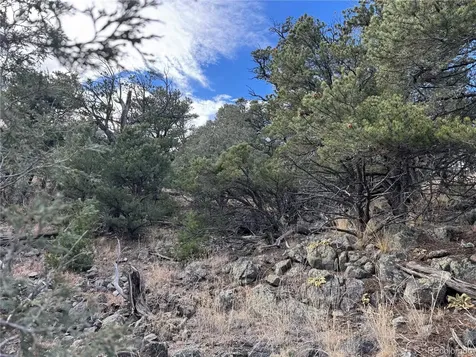 2926 E Path Cotopaxi CO 81223