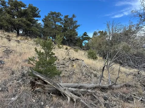 2926 E Path Cotopaxi CO 81223