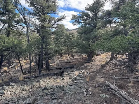 2926 E Path Cotopaxi CO 81223