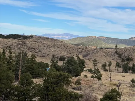2926 E Path Cotopaxi CO 81223