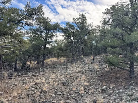 2926 E Path Cotopaxi CO 81223