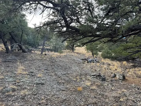 2926 E Path Cotopaxi CO 81223