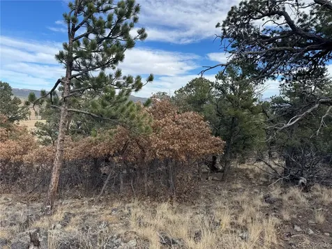 2926 E Path Cotopaxi CO 81223