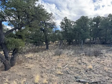 2926 E Path Cotopaxi CO 81223