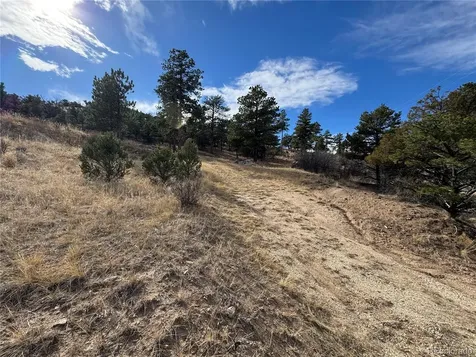 2926 E Path Cotopaxi CO 81223