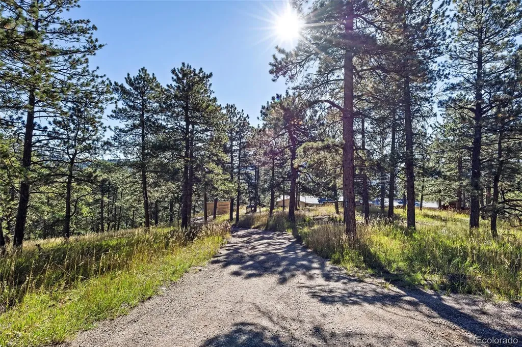 3942 S Palo Verde Road Evergreen CO 80439