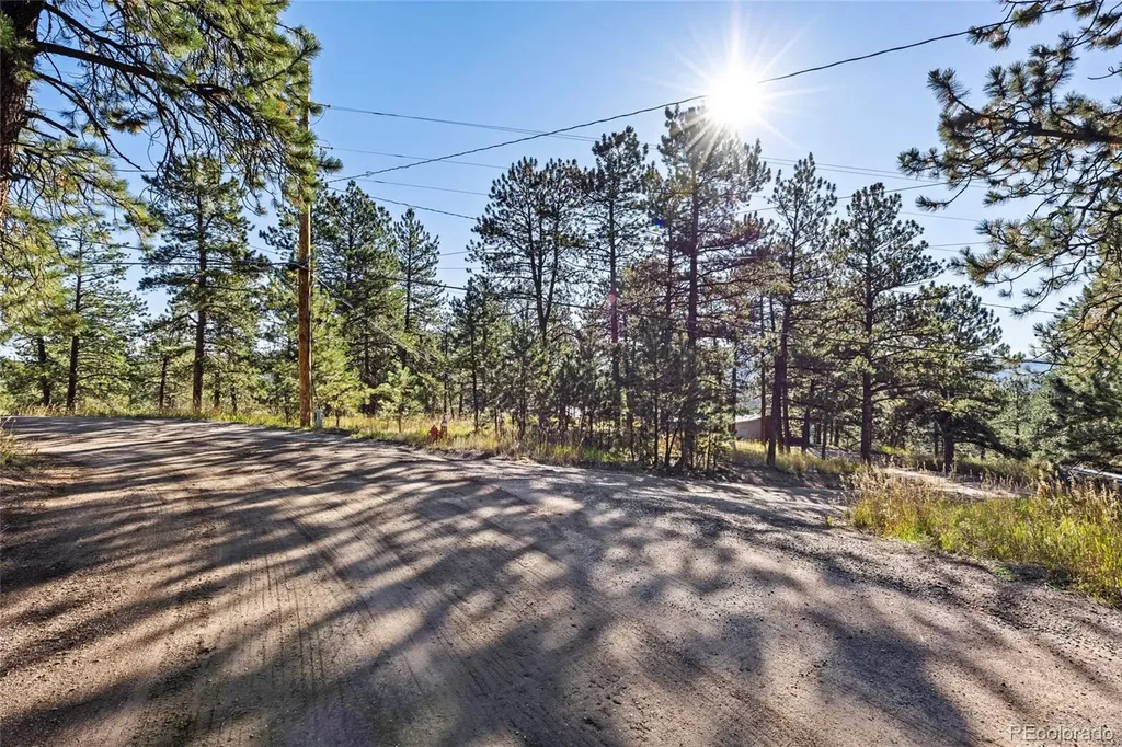3942 S Palo Verde Road Evergreen CO 80439