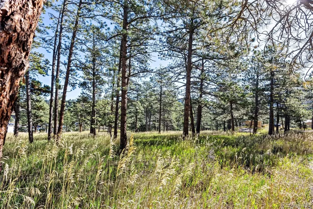 3942 S Palo Verde Road Evergreen CO 80439