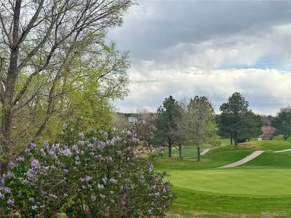 8642 Canongate Lane Highlands Ranch CO 80130