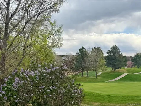 8642 Canongate Lane Highlands Ranch CO 80130