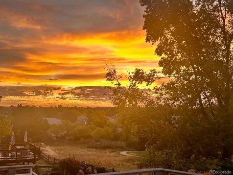 8642 Canongate Lane Highlands Ranch CO 80130