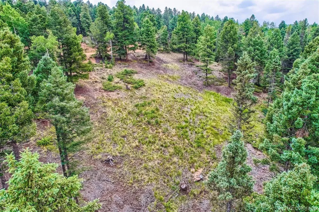 4600 Elk Valley Road Divide CO 80814