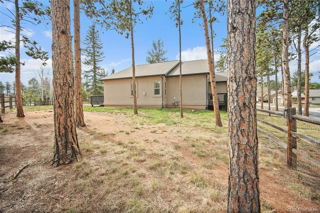 1101 Ptarmigan Drive Woodland Park CO 80863