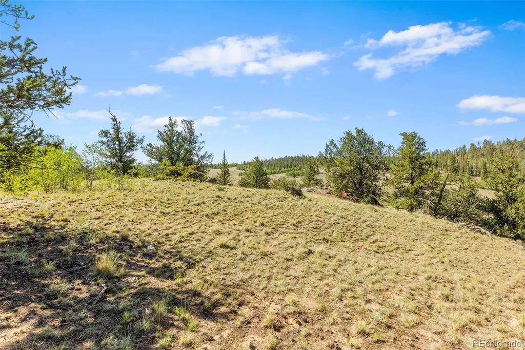 64 Carbine Road Jefferson CO 80456