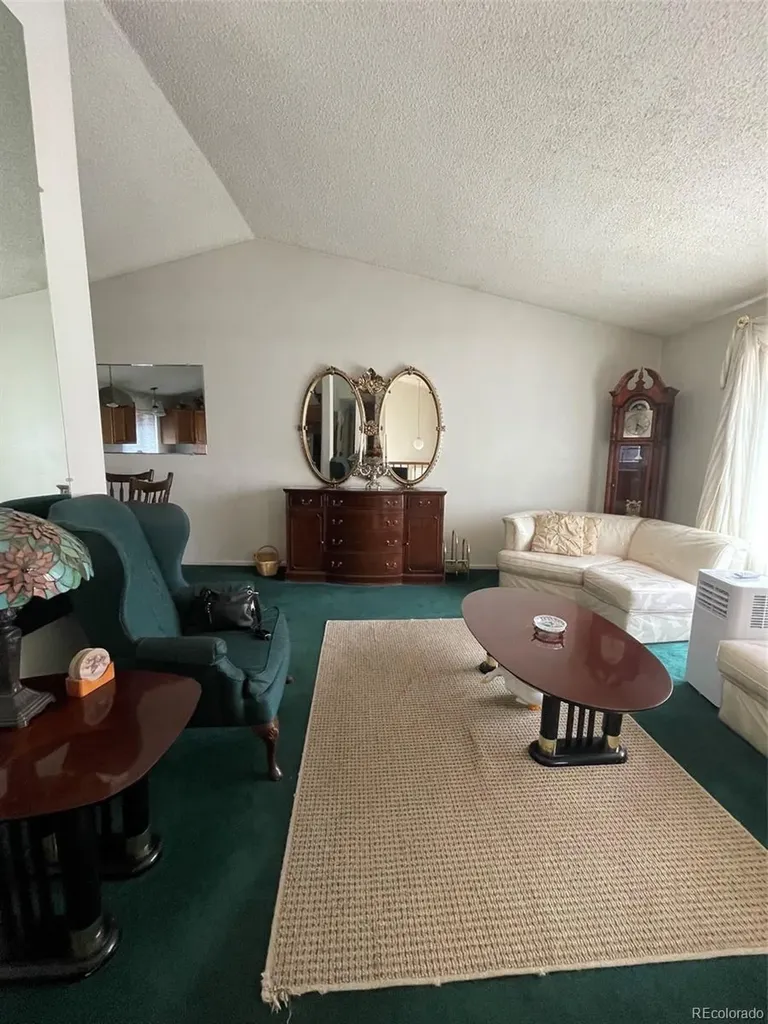 4841 Carson Street Denver CO 80239