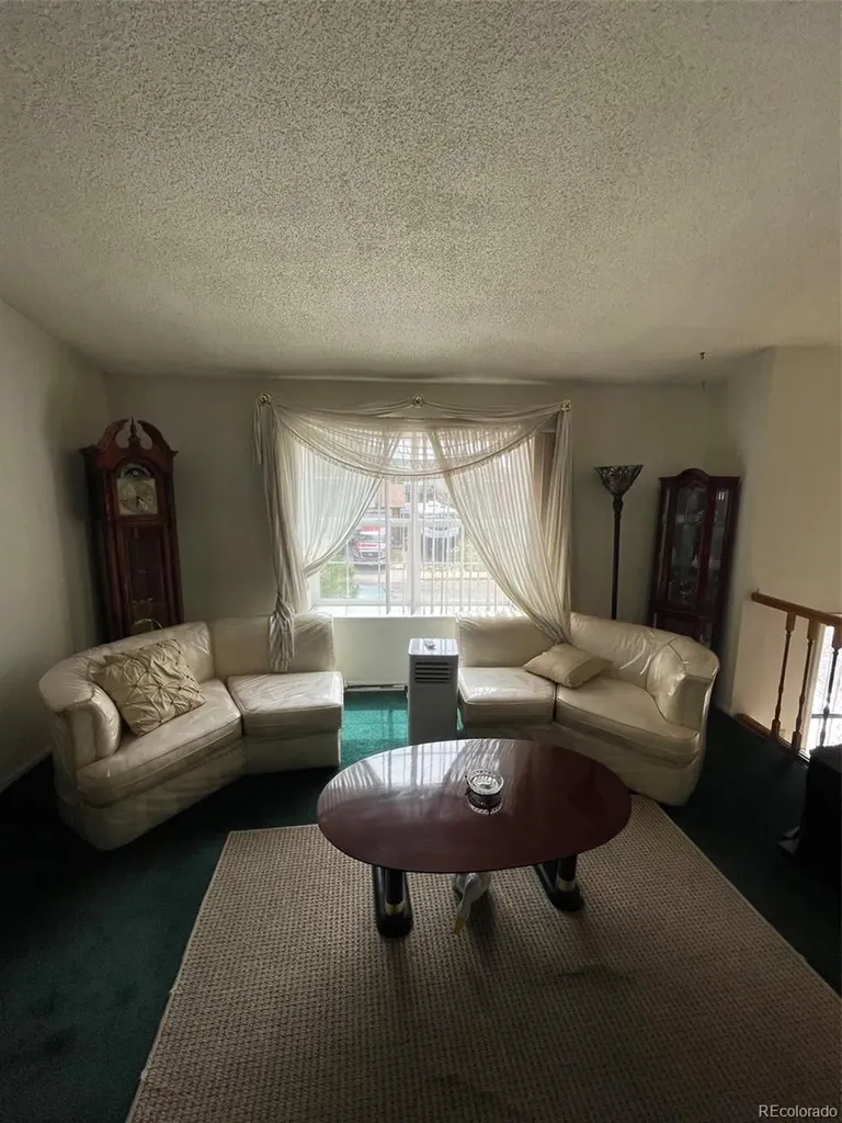 4841 Carson Street Denver CO 80239