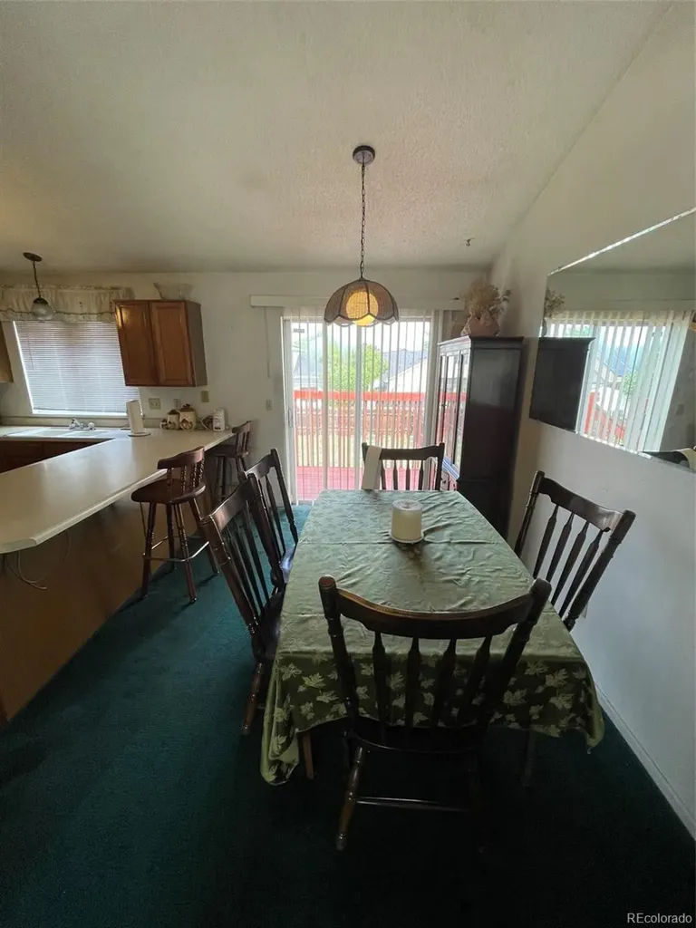 4841 Carson Street Denver CO 80239