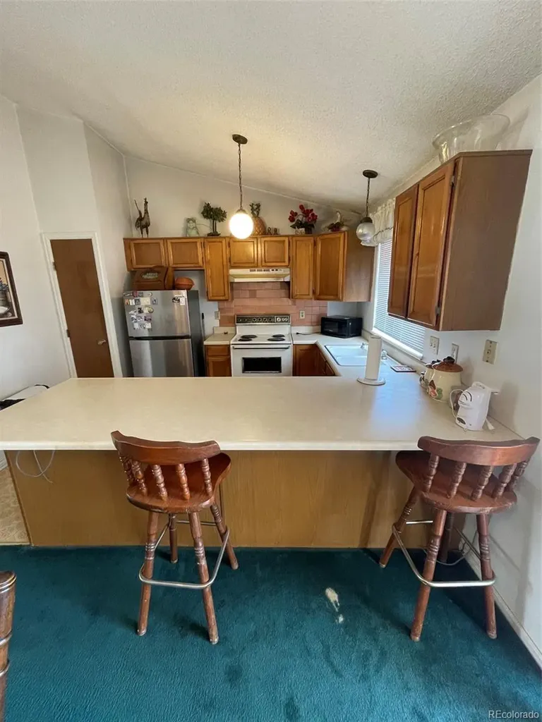 4841 Carson Street Denver CO 80239