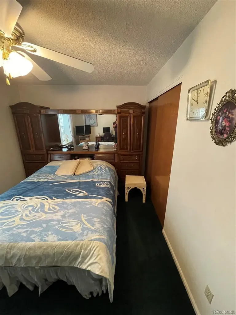 4841 Carson Street Denver CO 80239