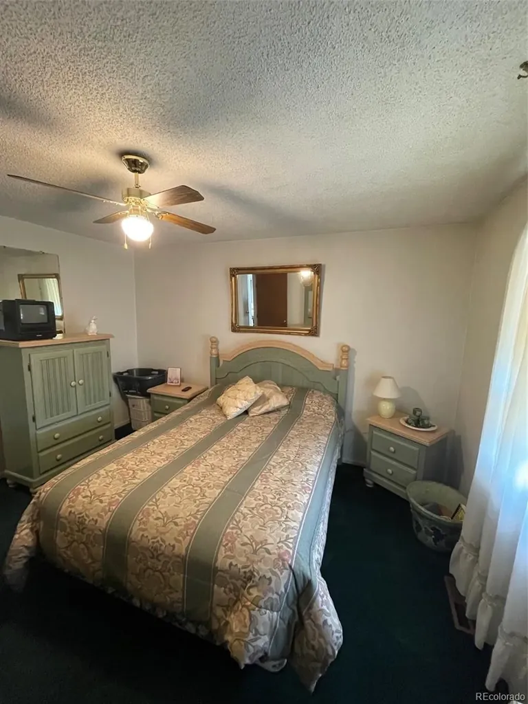 4841 Carson Street Denver CO 80239