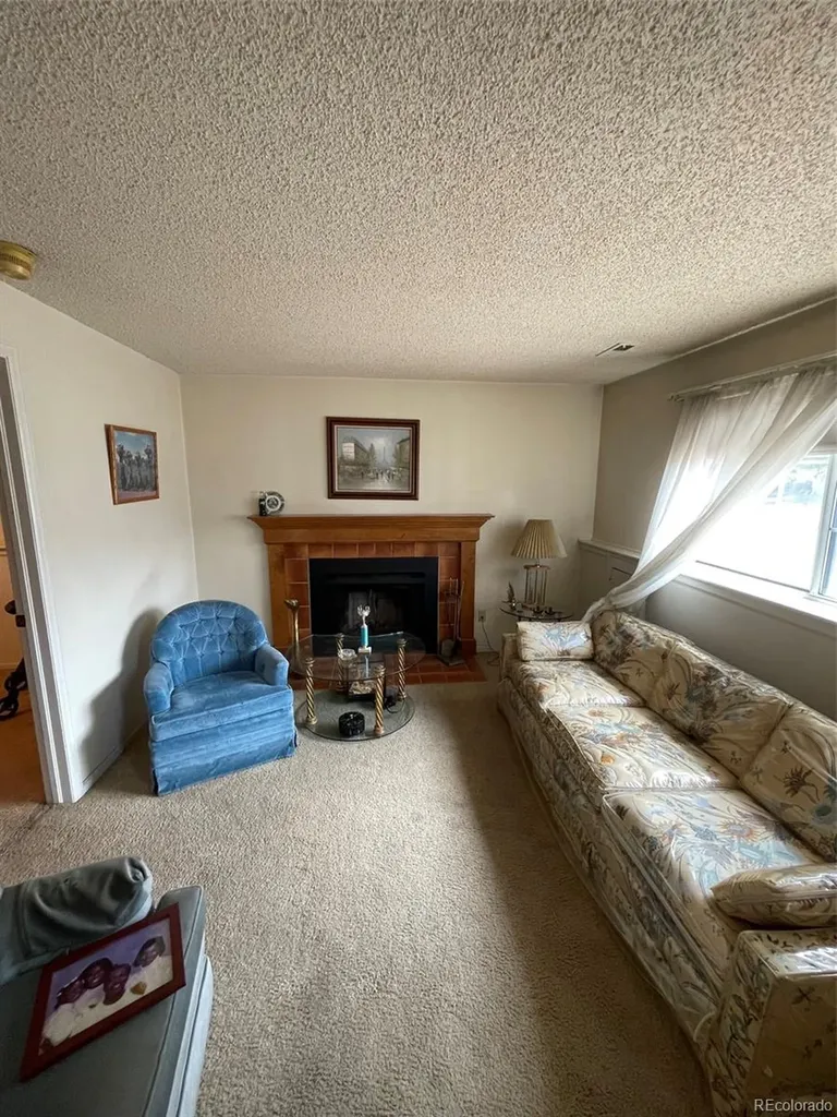 4841 Carson Street Denver CO 80239