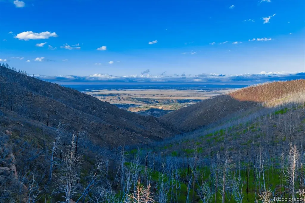 600 Acres La Veta CO 81055