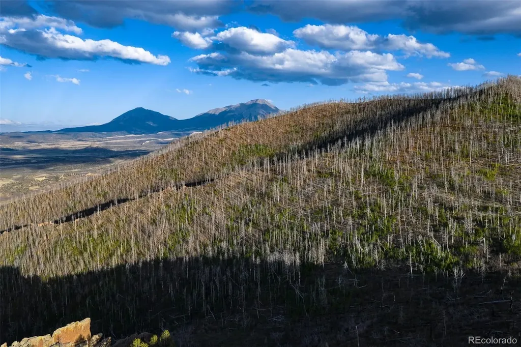 600 Acres La Veta CO 81055