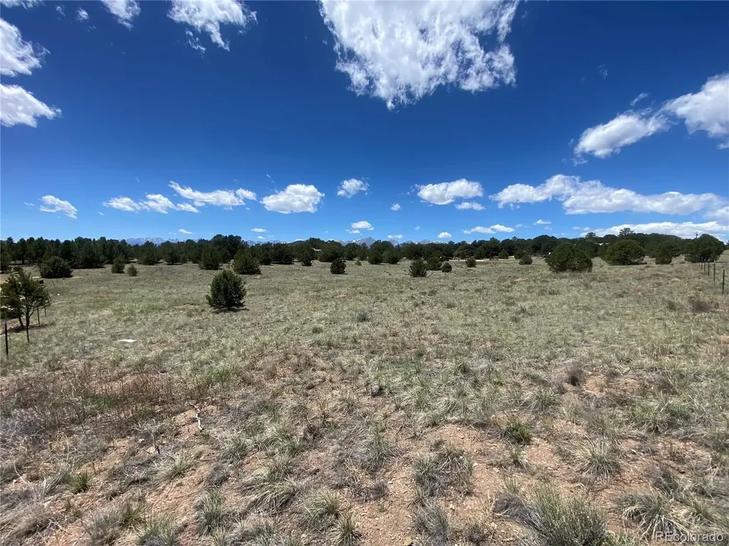 1638 20th Trail Cotopaxi CO 81223
